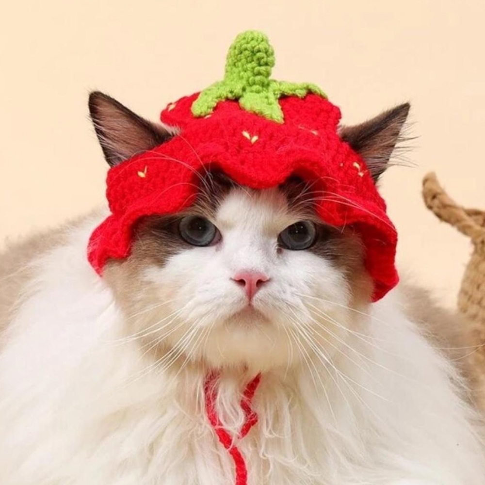 NWT Crochet Strawberry Pet Hat
